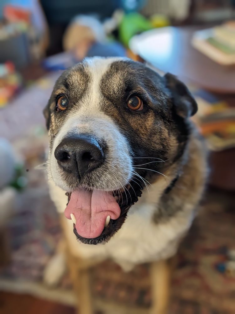 Boh super excited that Darth is back!