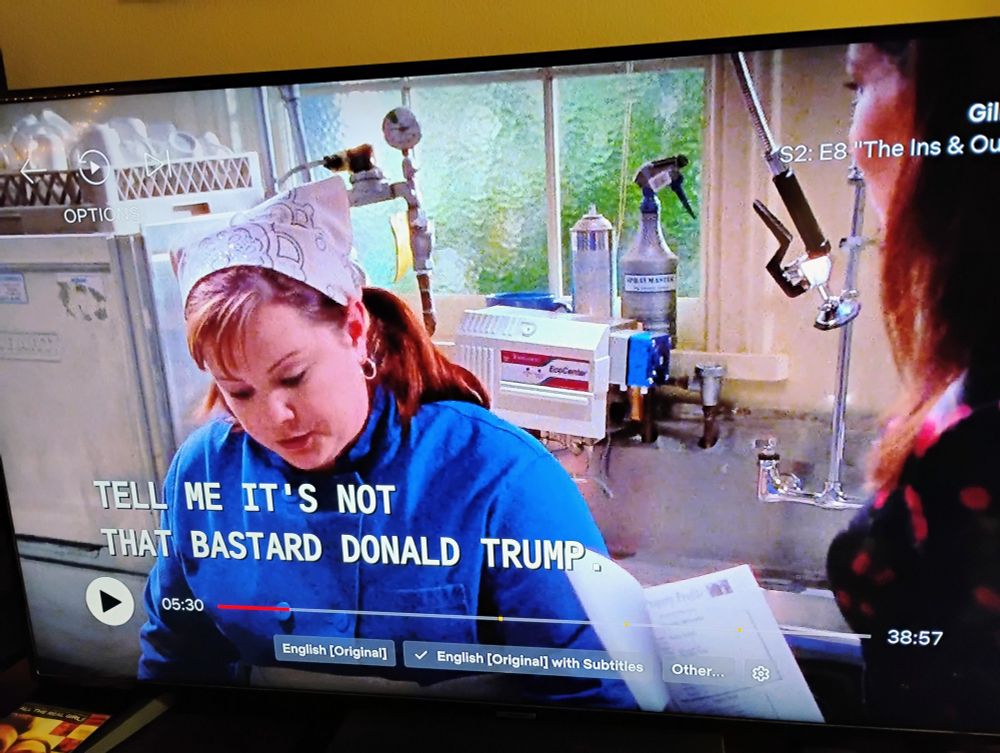 Melissa McCarthy on Gilmore Girls calling the orange buffoon the child of an unwed couple 