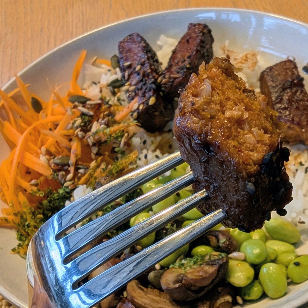 Close up piece of Aldi plant menu BBQ rib