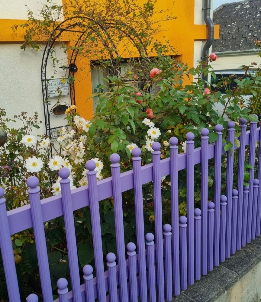 Das Bild zeigt einen Garten mit blühenden weißen und rosa Blumen hinter einem lilafarbenen Zaun. Im Hintergrund ist ein Haus mit orange-gelben Fensterrahmen und weißer Fassade zu sehen. Ein Rankbogen mit kletternden Pflanzen steht an der Wand. 