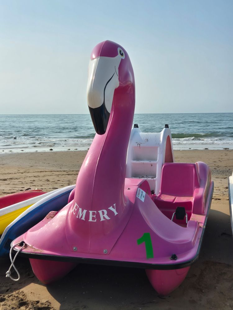 Ein pinkes Tretboot in Form eines Flamingos steht am Strand vor dem Meer. Auf dem Hals steht der Schriftzug „EMERY“ und an der Seite ist eine grüne „1“ zu sehen. 