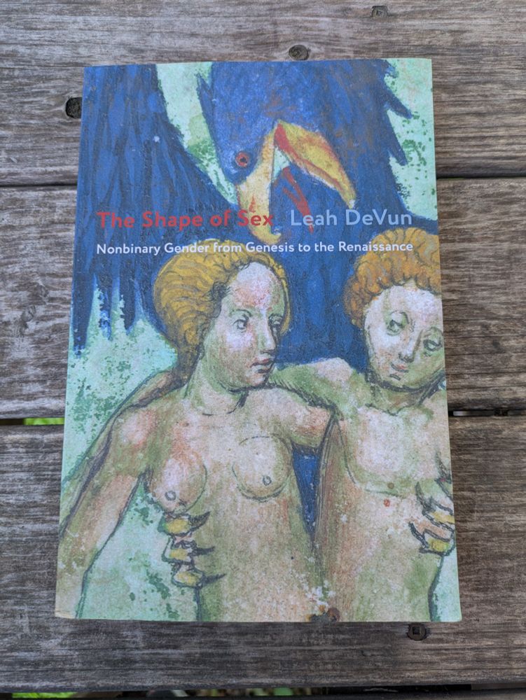 Cover of The Shape of Sex by Leah DeVun. The subtitle reads “Nonbinary Gender From Genesis to the Renaissance.” The artwork features two winged, intertwined figures alongside a vibrant bird with a multicolored beak, rendered in a medieval style. The image evokes themes of gender fluidity, historical embodiment, and theological symbolism.