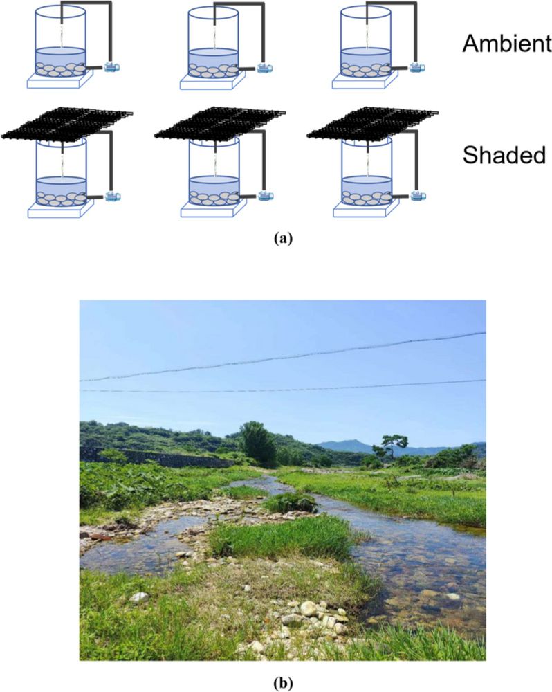 Nutritional Quality of Basal Resource in Stream Food Webs Increased with Light Reduction—Implications for Riparian Revegetation - Microbial Ecology