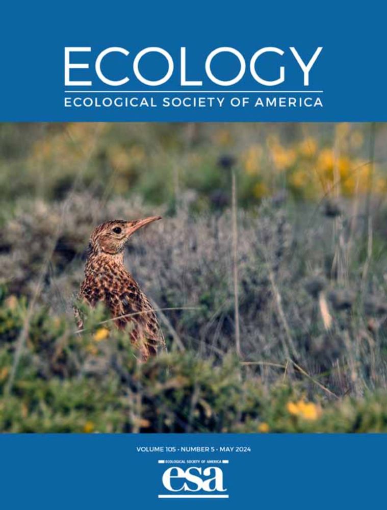 Environmental heterogeneity at two spatial scales affects litter diversity–decomposition relationships