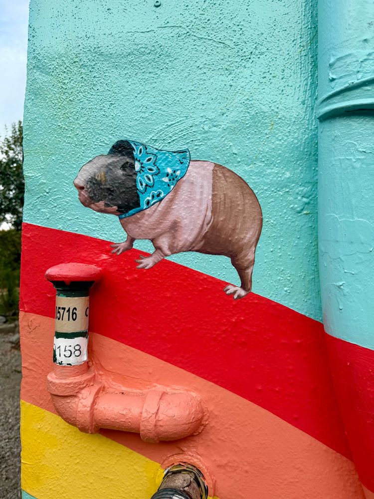 Guinea pig babushka mural. I dunno, that's the best I got. 