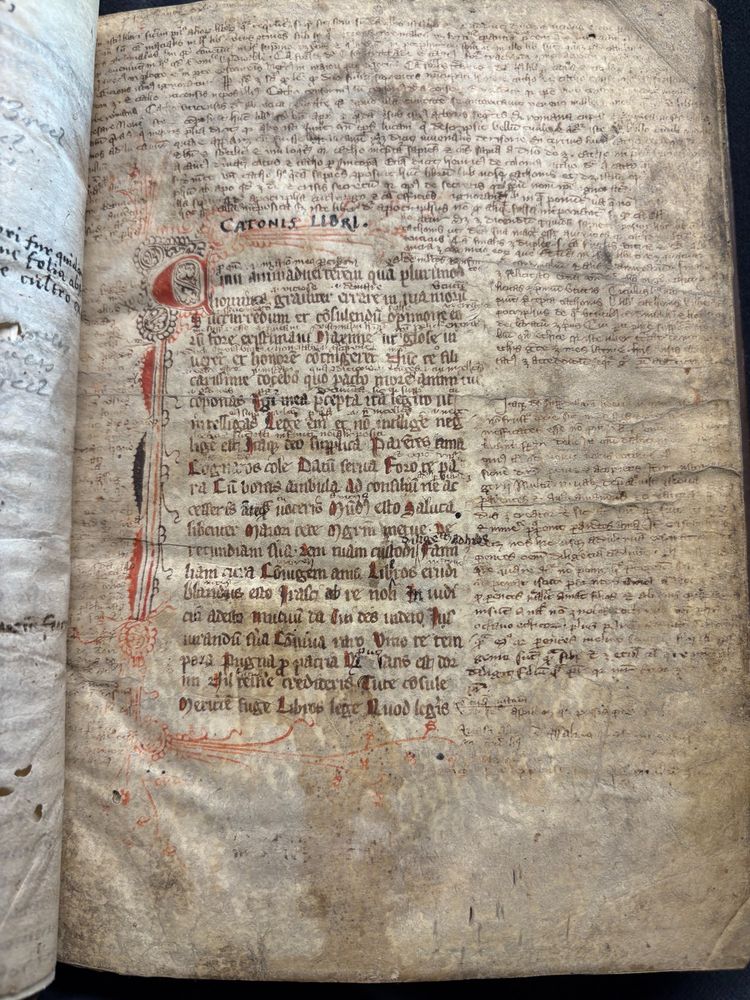 First folio in the book starting with a text in Gothic hand ‘Cum animadverterm qua[m] plurimos and numerous marginal and interlinear glosses and commentaries, an initial in red.