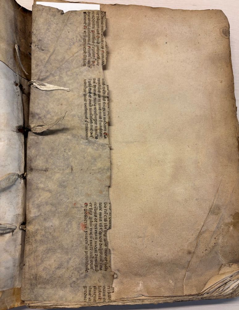 Another part of fragment used to enforce the book binding with two columns of text written on parchment