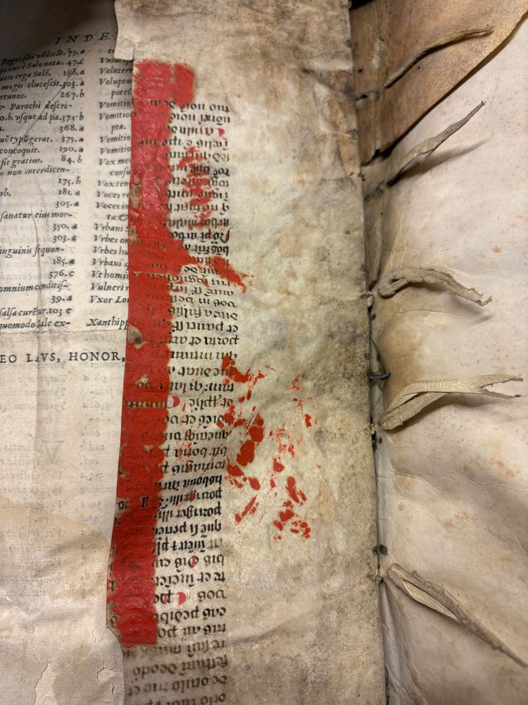 A fragment of a medieval manuscript recycled to enforce the binding. Red printing ink covers part of the manuscript.
