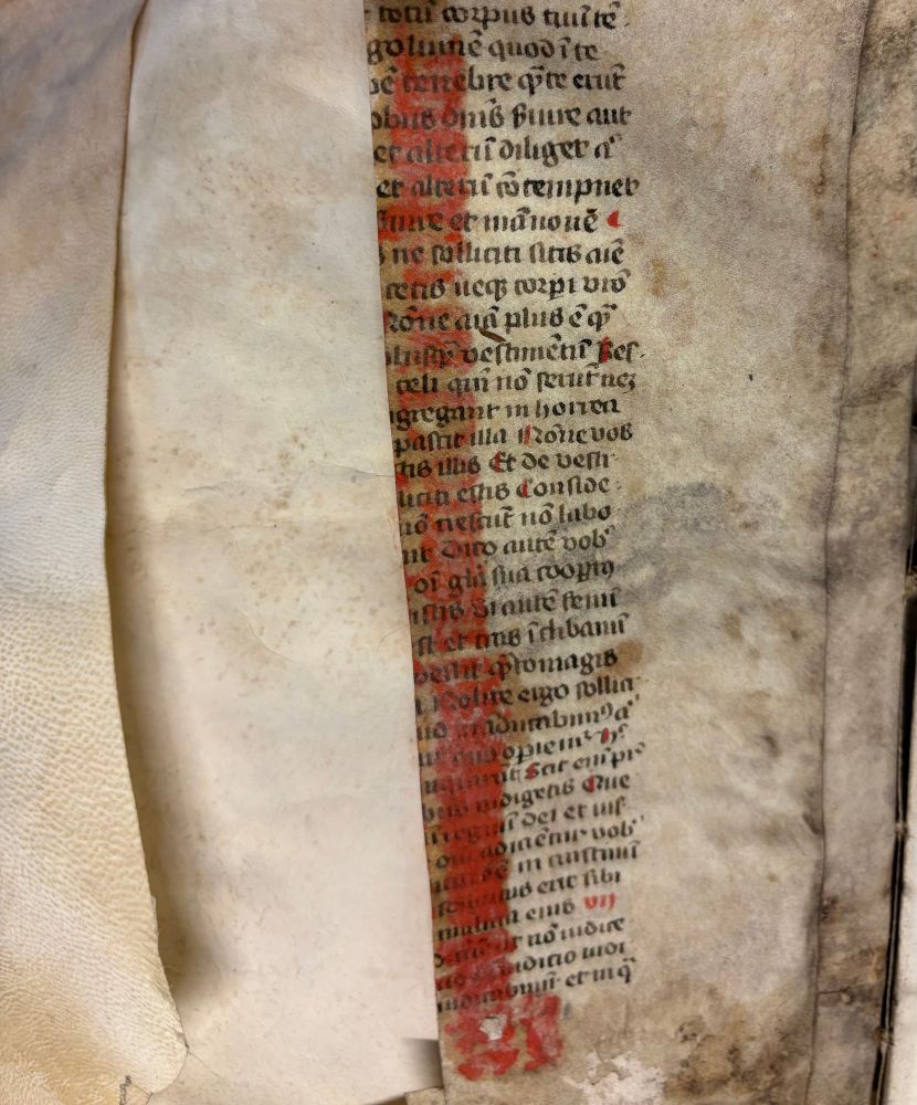 A fragment of a medieval manuscript on parchment recycled to enforce the binding. Red printing ink covers part of the manuscript.