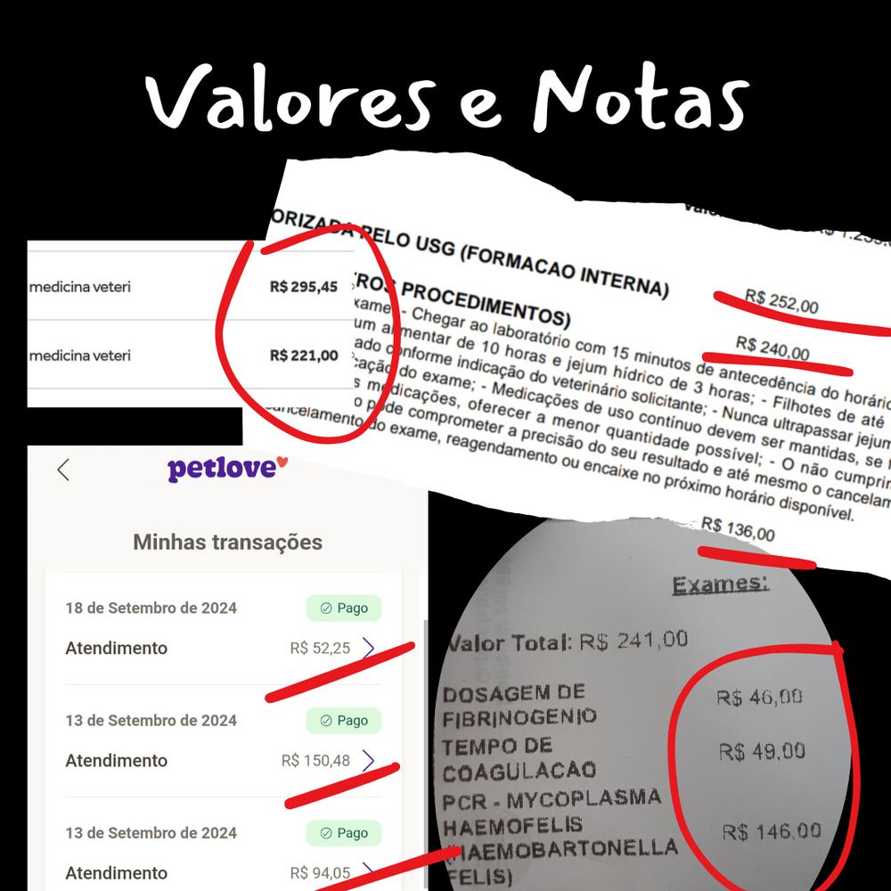 Imagem com funto preto com o escrito Valores e notas
valores já gastos com medicina veteri R$ 295,45 + R$ 221,00
É necessário fazer USG para ver a formação interna nos valos de R$ 252,00 + R$ 240,00
Tem também os atendimentos na PETLOVE
atendimento no dia 18 de setembro R$ 52,50
atendimento no dia 13 de setembro R$ 150,48
atendimento no dia 13 de setembro R$ 94,05

e outros exames no tatl de R$ 241,00