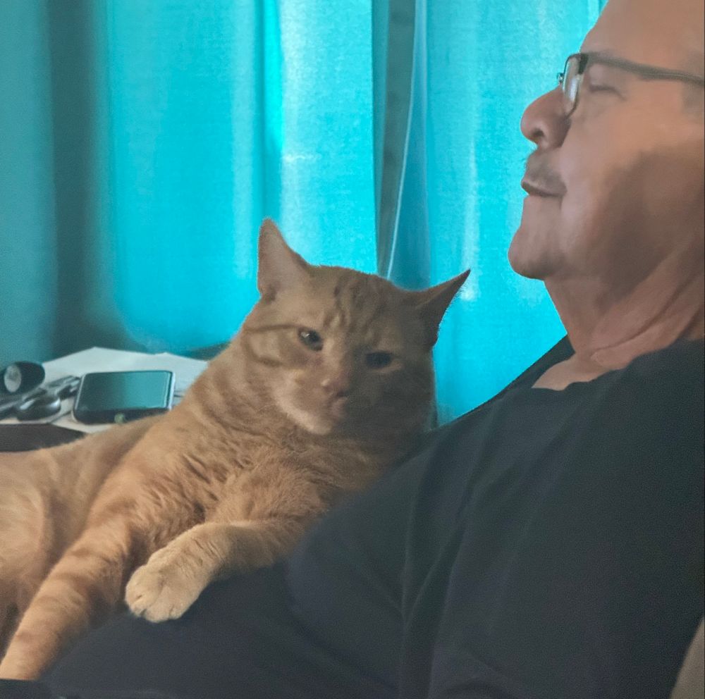my dad’s cat looking at me, hatefully 