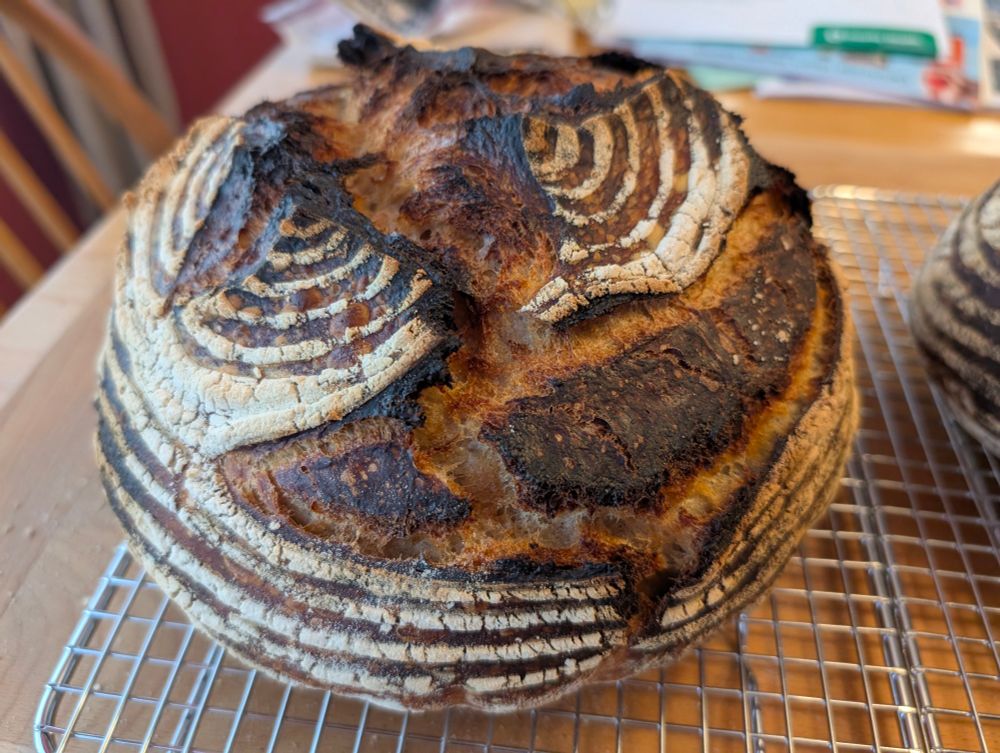 Large round loaf of sourdough bread 