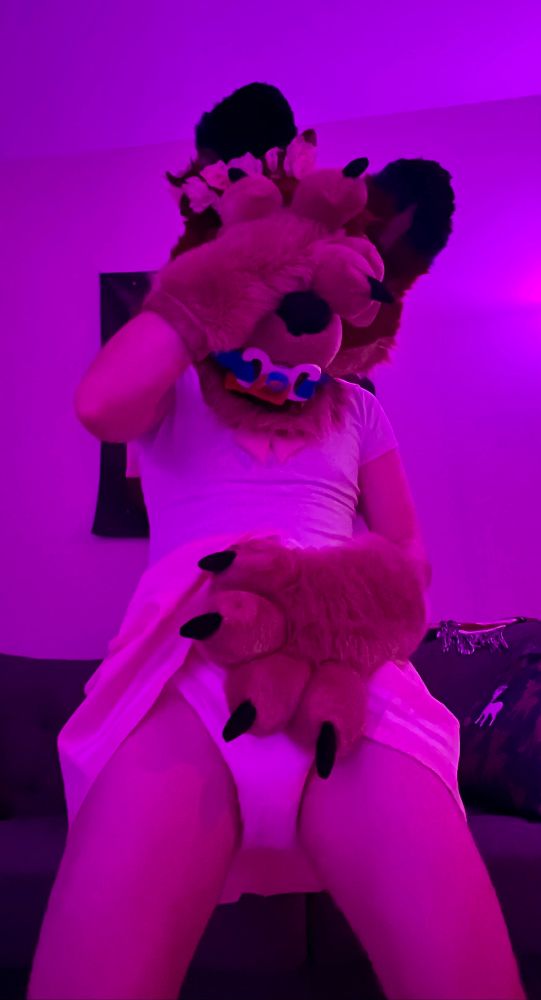 A pretty puppy in a pink diaper