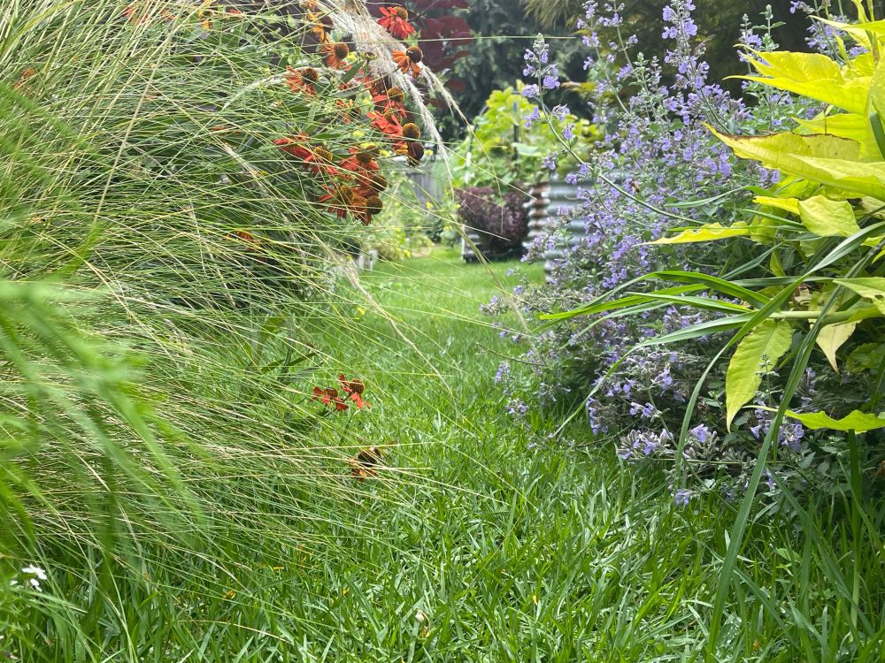 Mixed borders 