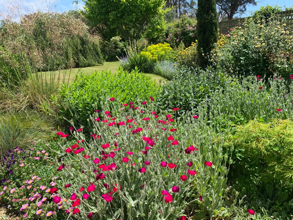 Mixed borders 