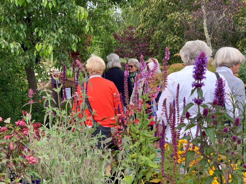 Open gardens 