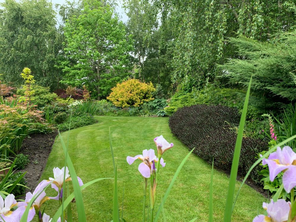 Deck garden