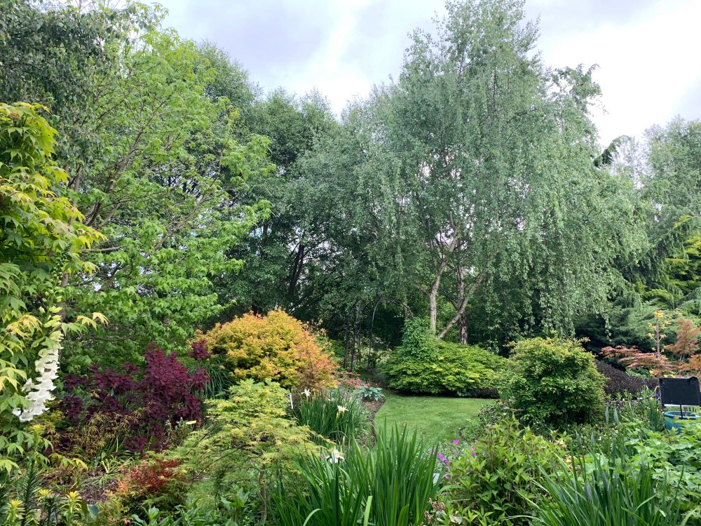 Deck garden