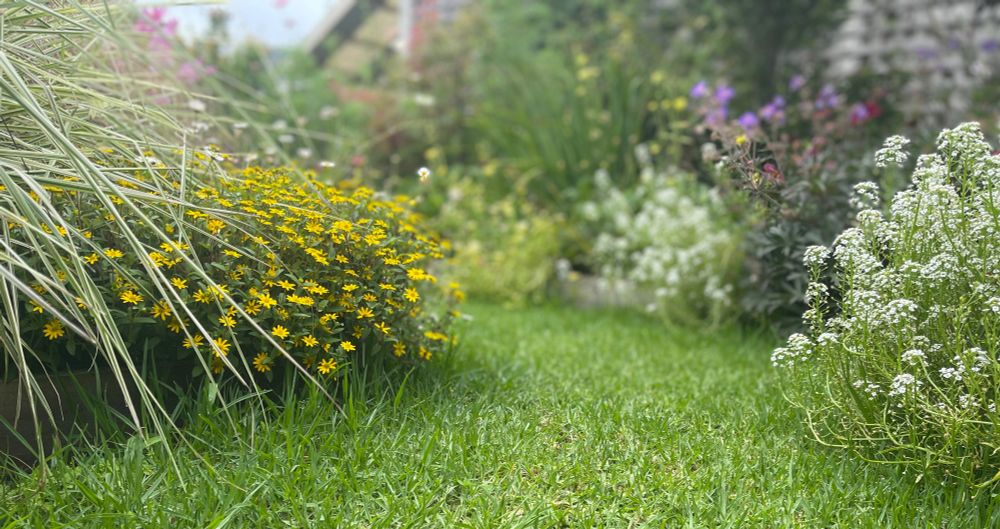 Mixed border