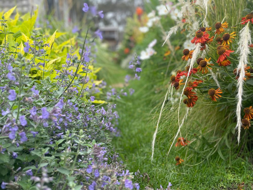 Mixed border