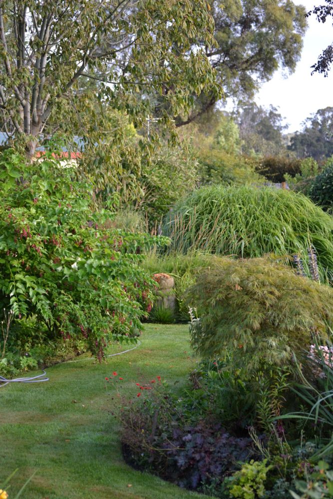 Birchgrove 2017