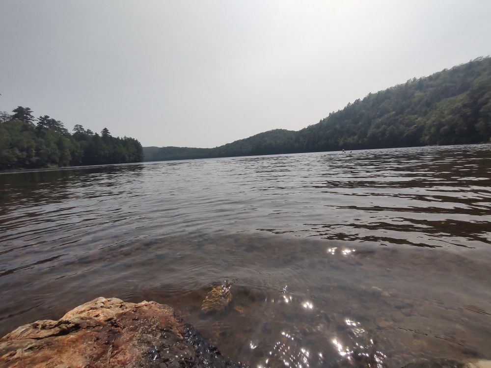 I'm fucking chilling 