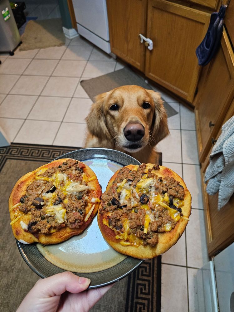 Fluffy Golden dog sniffing a plate with 2 mini pizzas on it. She'd really like some, but will settle for a bite or two of crust. 