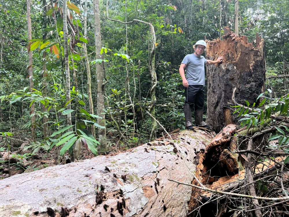 A research visit with focus on understanding the impacts of compound precipitation and wind extremes on the southern Amazon