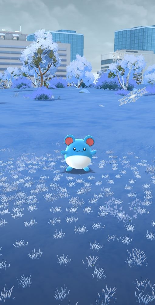 A wild Marill appeared! 