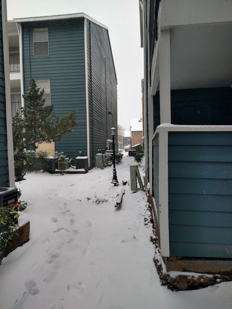 Snow around my complex. 