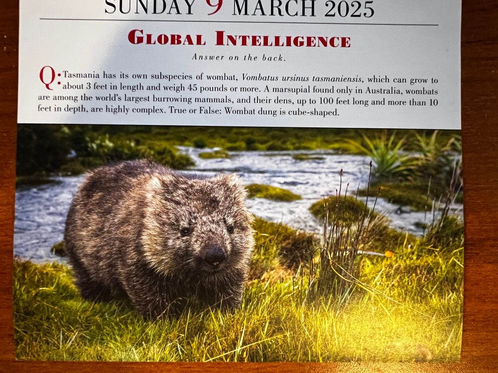 GLOBAL INTELLIGENCE
Answer on the back.
• Tasmania has its own subspecies of wombat, Vombatus ursinus tasmaniensis, which can grow to
about 3 feet in length and weigh 45 pounds or more. A marsupial found only in Australia, wombats are among the world's largest burrowing mammals, and their dens, up to 100 feet long and more than 10 feet in depth, are highly complex. True or False: Wombat dung is cube-shaped.