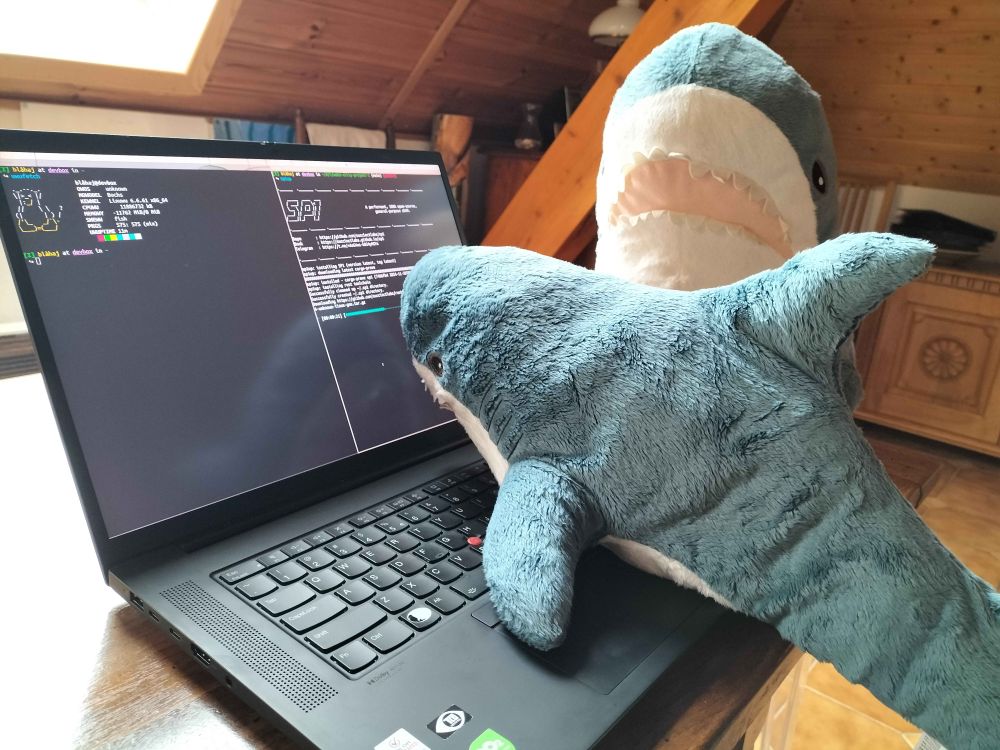 a small blåhaj on the keyboard of a laptop looking at sp1up running in a split screen terminal. A large blåhaj is supervising