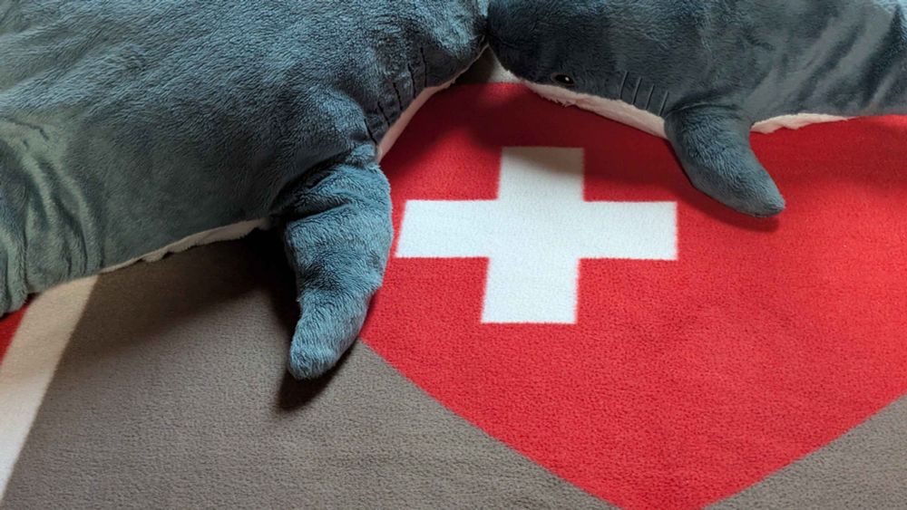 two IKEA shark plushies lying on a Swiss flag heart camp bedsheet