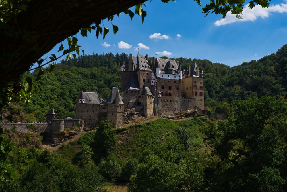 Man sieht hinter einem Ast die Burg Eltz. 