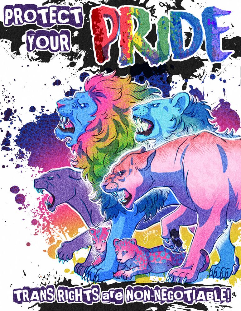 A pride of multicolored lions snarling ferociously while all facing an unseen enemy offscreen. Pink white and blue (trans flag) colored cubs lay at their feet.  Text reads in a punk poster font, "PROTECT YOUR PRIDE! TRANS RIGHTS ARE NON-NEGOTIABLE!"
