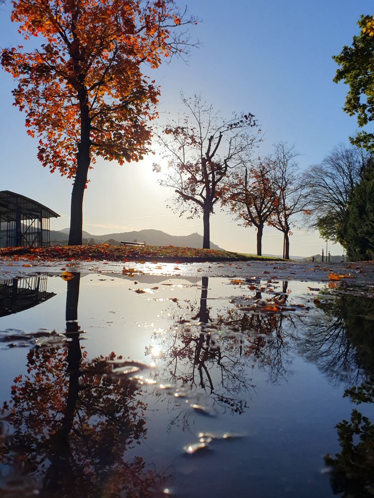 Blick von einer niedrigen Position aus über eine Pfütze. Man sieht einzelne Bäume im Herbstlaub vor blauem Himmel und im Hintergrund Hügel. All das spiegelt sich auch in der großen Pfütze.