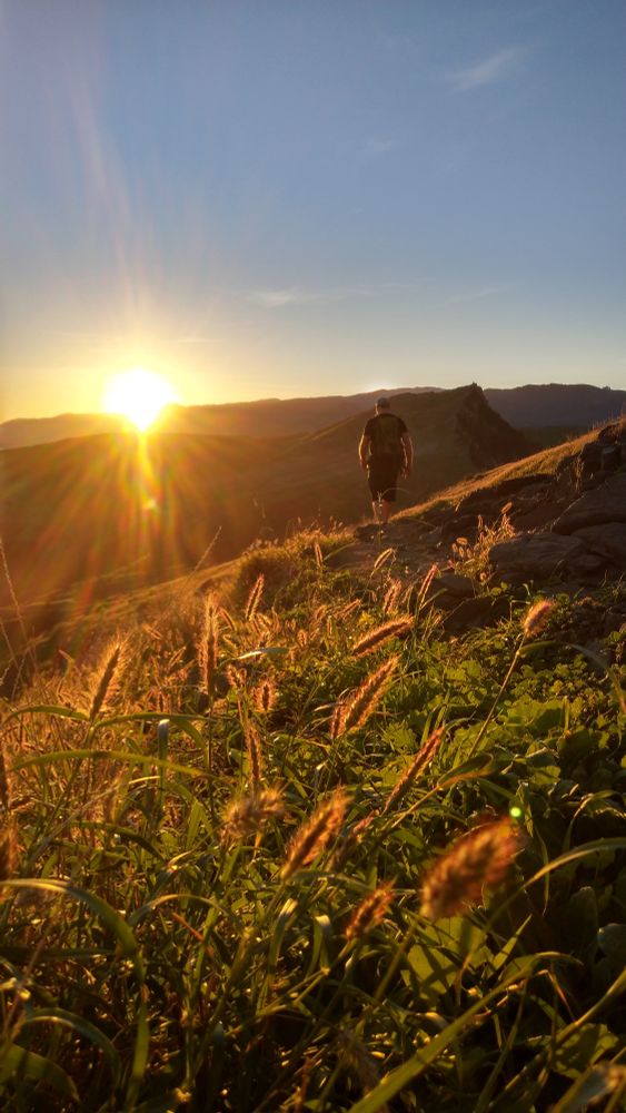 Blick über Hügel in Richtung untergehender Sonne an einem blauen Himmel. Rechts sieht man eine wandernde Person mit Rucksack von hinten. Im Vordergrund sind Gräser, die von der tiefstehenden Sonne eine leuchtende Aura bekommen. 