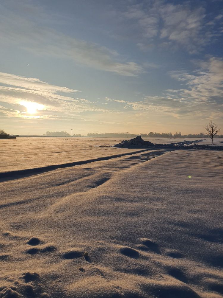 Blick über das schneebedeckte Feld. Die Wintersonne mit all ihrer verbliebenen Kraft.