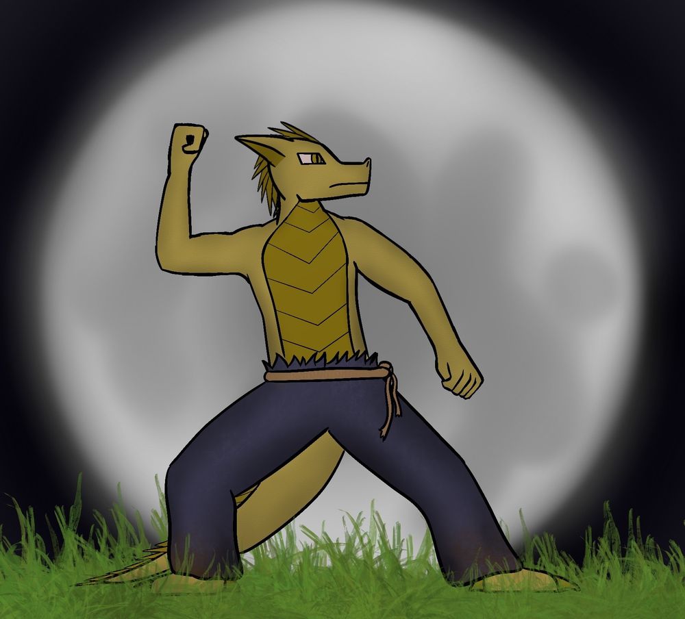 Rhafengarr in the mountain block stance (taken from taekwondo’s poomsae taegeuk pal jang) in front of a full moon