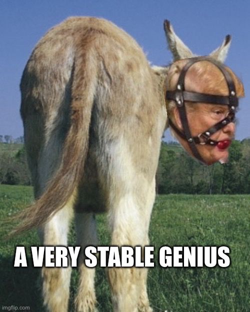 A VERY STABLE GENIUS