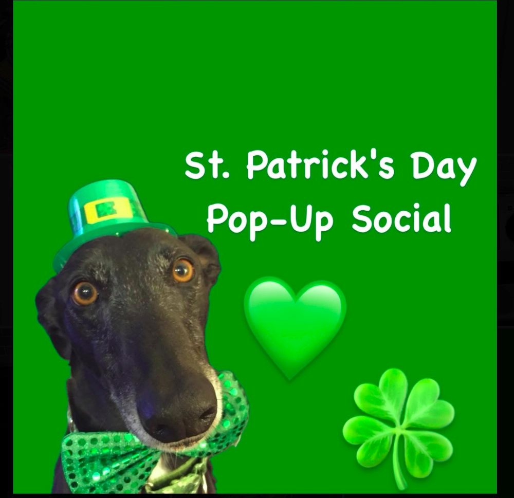 A Greyhound with green hat and tie before St.Patrick's Day background