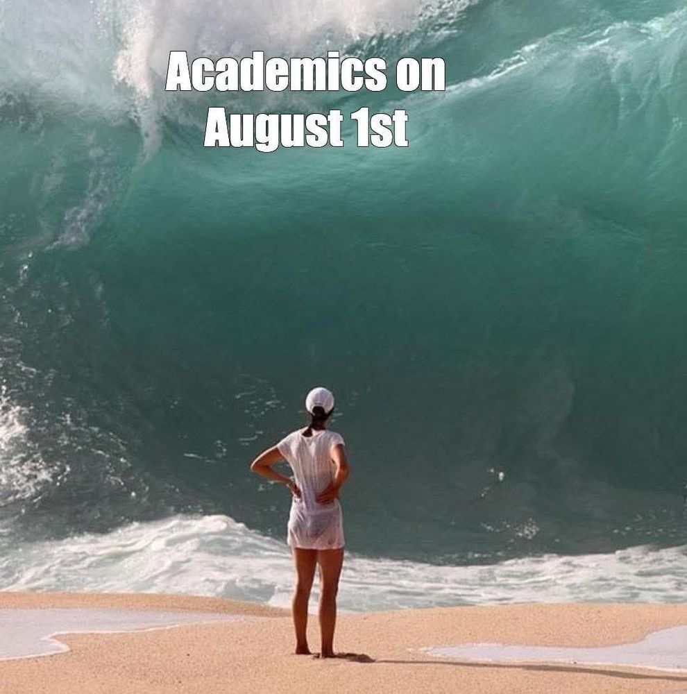 A person standing on a sandy beach, facing away from the camera, toward an incoming wave twice as high as they are tall. It is captioned "academics on August 1st"