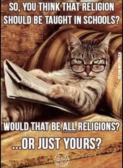 Cat in reading glasses reading newspaper… SO, YOU THINK THAT RELIGION SHOULD BE TAUGHT IN SCHOOLS?
WOULD THAT BE ALL RELIGIONS?
..OR JUST YOURS?