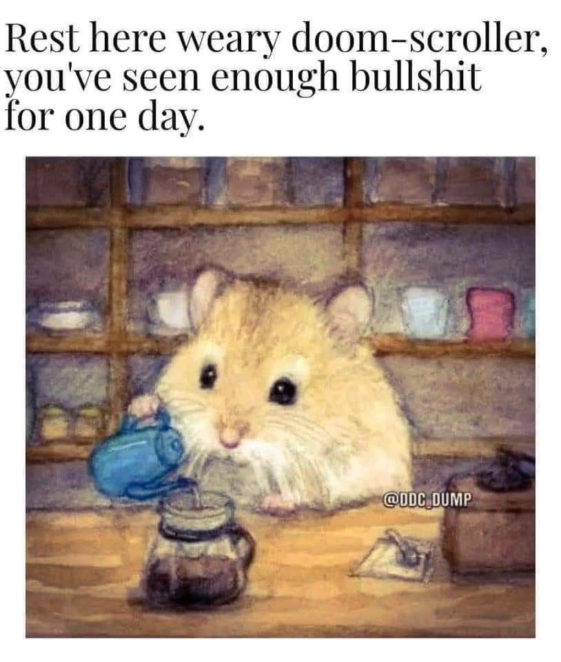 Cute little mouse… Rest here weary doom-scroller, you've seen enough bullshit for one day.
@DDC