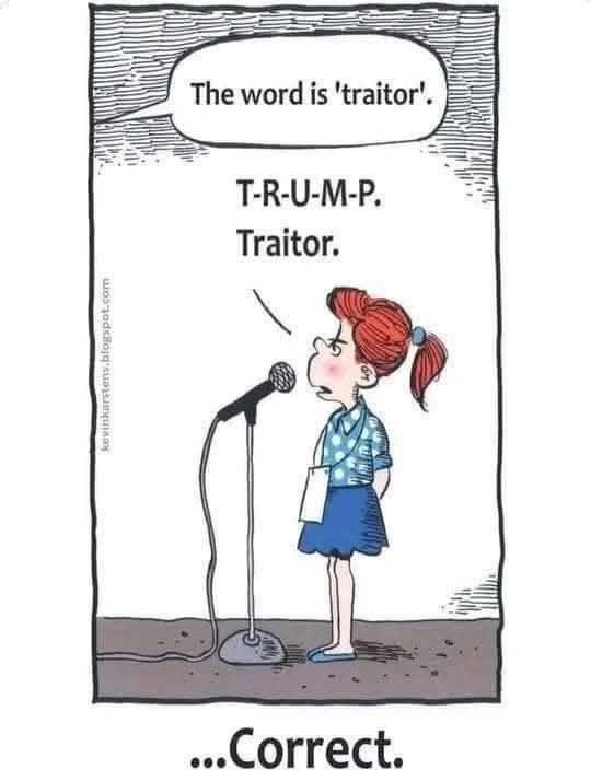 Girl in a spelling bee: 
The word is 'traitor'.
T-R-U-M-P.
Traitor.
...Correct.