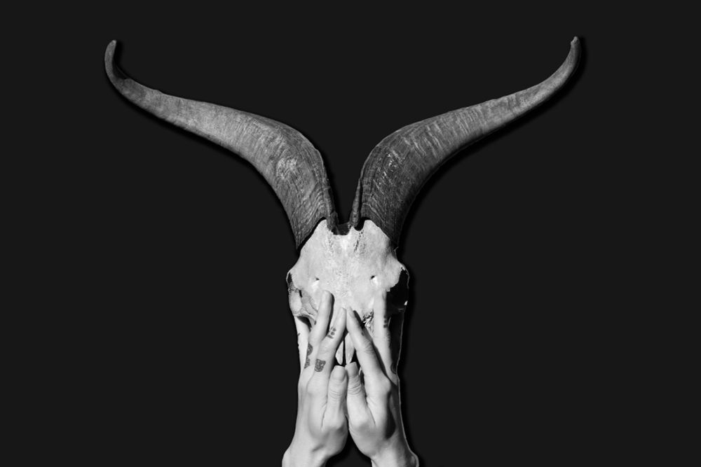 Black and white photo of hands grasping goat skull