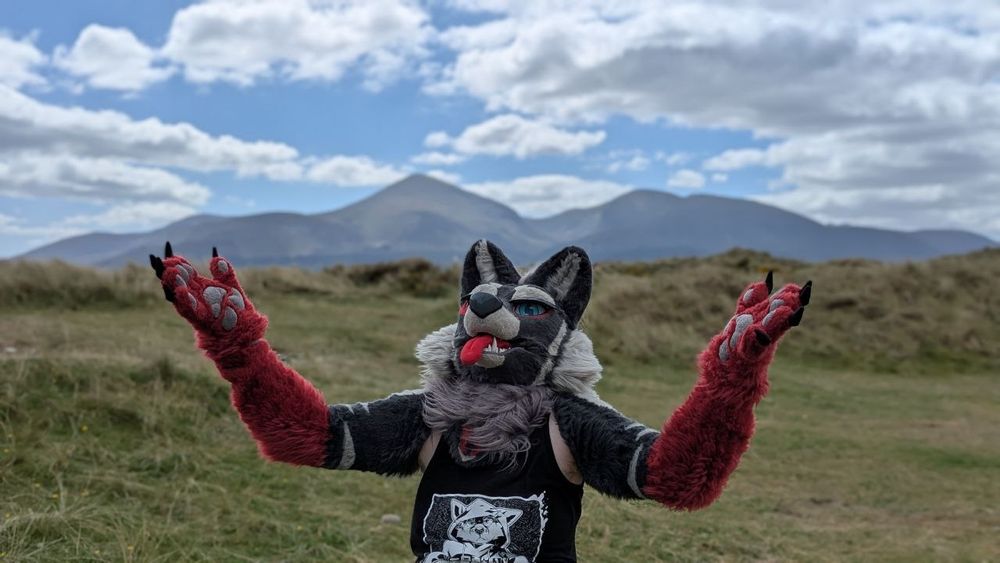 Me in my fursuit of Argent, a black, grey and red maned wolf, in front of a landscape of grass covered dunes with a tall mountainscape in the background