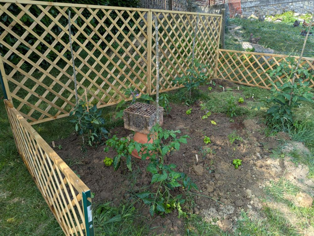 A garden planted with tomatoes, peppers, eggplant and basil, surrounded by a wooden trellis