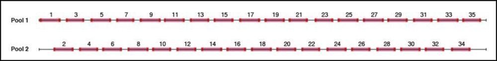 Overview of the LoCost SARS-CoV-2 protocol