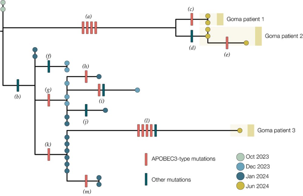 Mpox Clade Ib cases in Goma